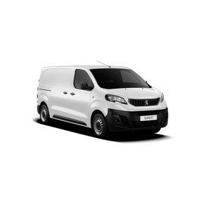 Expert, Type III, 2016 >