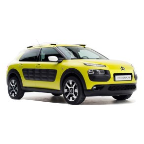 Cactus - (2014-2018)