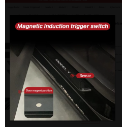 Indstigningslister med lys - brstet stl - Tesla Y
