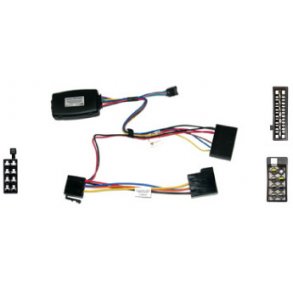 Rat Interface til Renault