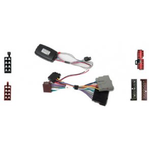 Rat Interface til Ford Focus, Mondeo Med Mere