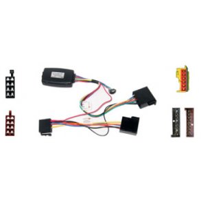 Rat Interface til Ford