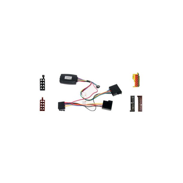 Rat Interface til Ford