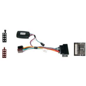 Rat Interface til Ford