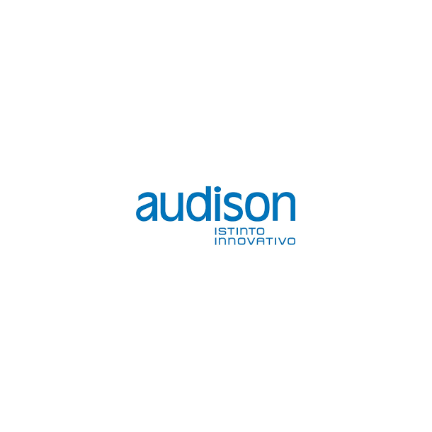Audison sticker - 366x132mm