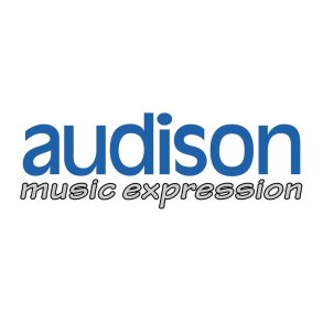 Audison sticker - Music Expression, 423x145mm